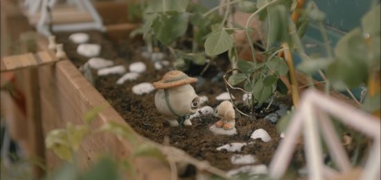 Marcel The Shell With Shoes On